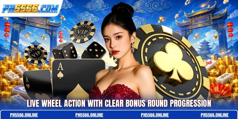 Live wheel action with clear bonus round progression